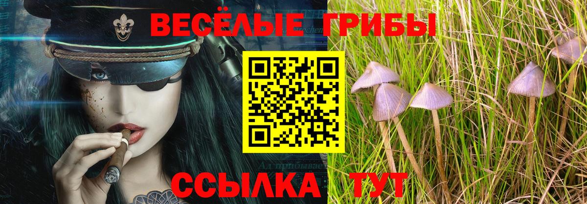 Псилоцибиновые грибы Psilocybine cubensis  Вход с VPN  Псилоцибиновые грибы мухоморы  Красноярск 